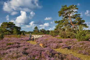 galerie-hiddensee